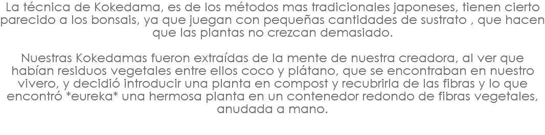 La técnica de Kokedama, es de los métodos mas tradicionales japoneses, tienen cierto parecido a los bonsais, ya que juegan con pequeñas cantidades de sustrato , que hacen que las plantas no crezcan demasiado. Nuestras Kokedamas fueron extraídas de la mente de nuestra creadora, al ver que habían residuos vegetales entre ellos coco y plátano, que se encontraban en nuestro vivero, y decidió introducir una planta en compost y recubrirla de las fibras y lo que encontró *eureka* una hermosa planta en un contenedor redondo de fibras vegetales, anudada a mano. 
