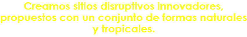Creamos sitios disruptivos innovadores, propuestos con un conjunto de formas naturales y tropicales.