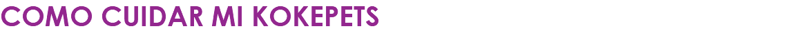 COMO CUIDAR MI KOKEPETS