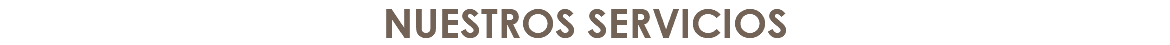 NUESTROS SERVICIOS